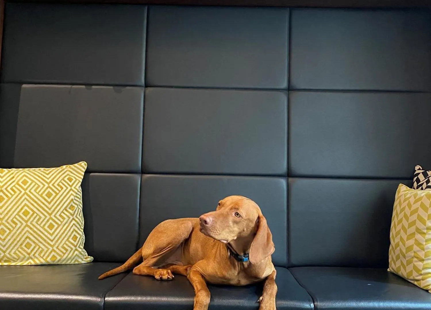 ****  Hotel Mrak Ljubljana Slovenien